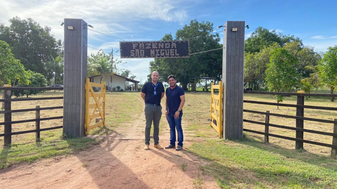 Consultorias tecnológicas elevam padrão produtivo na Fazenda São Miguel, no Médio Mearim