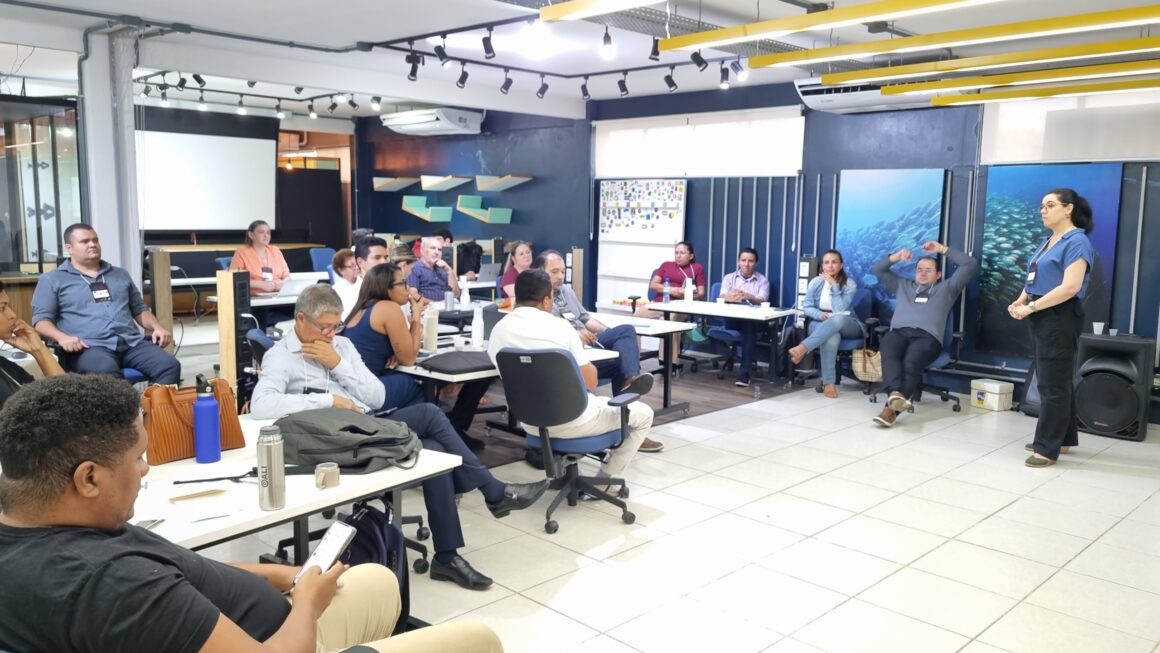 Sebrae Maranhão lança Empretec Arena, nova plataforma de capacitação para empreendedores