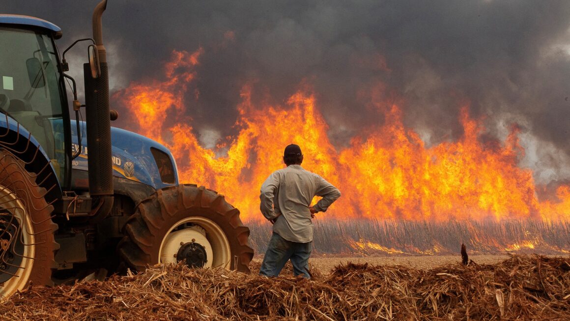 Incêndios causam prejuízos de mais de R$ 14 bilhões no campo