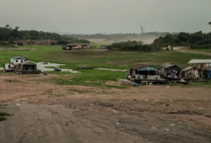 ‘Devolvam nossa água’: os pescadores da Amazônia que ficaram sem saída para rio pelo 2º ano seguido