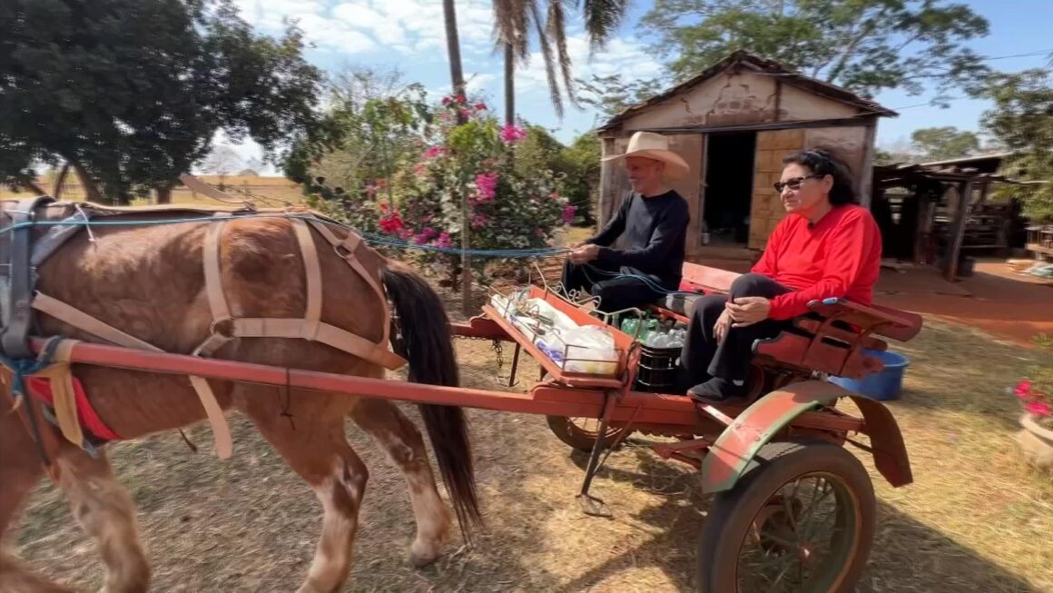 Charretes e carroças resistem e ainda fazem sucesso