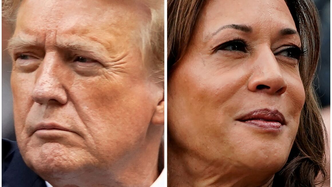 Kamala ou Trump: quem será o vencedor das eleições, de acordo com o mercado financeiro